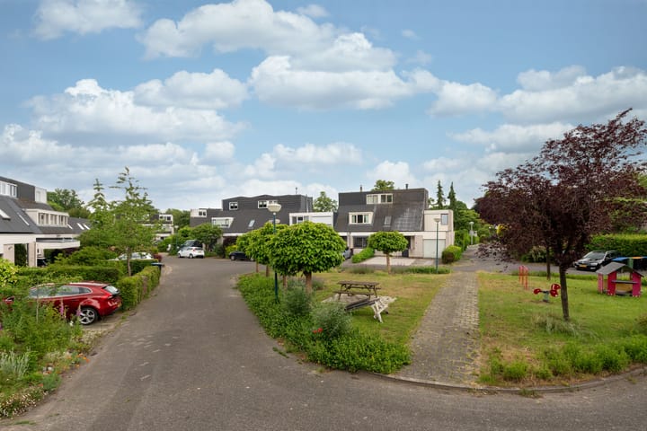 Foto 47 van Rietspinner 6