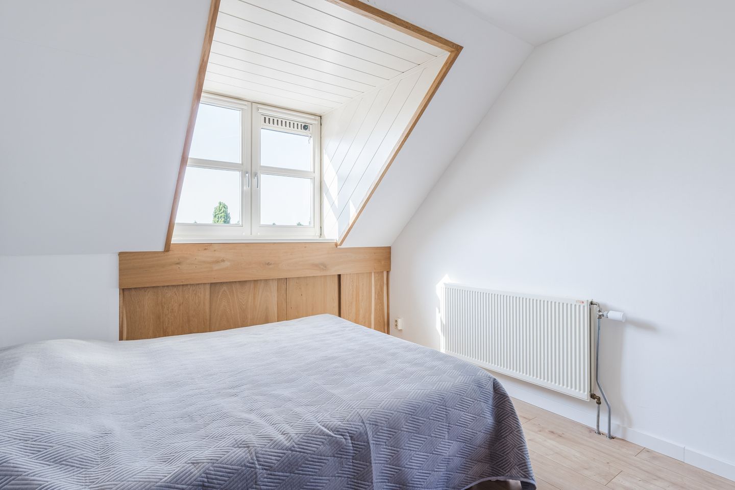 Foto 50 van Claustrum 71