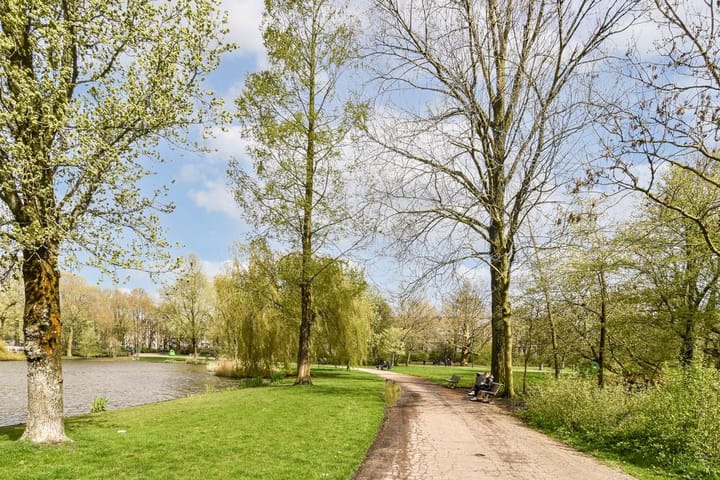 Foto 21 van Linnaeusstraat 40-3