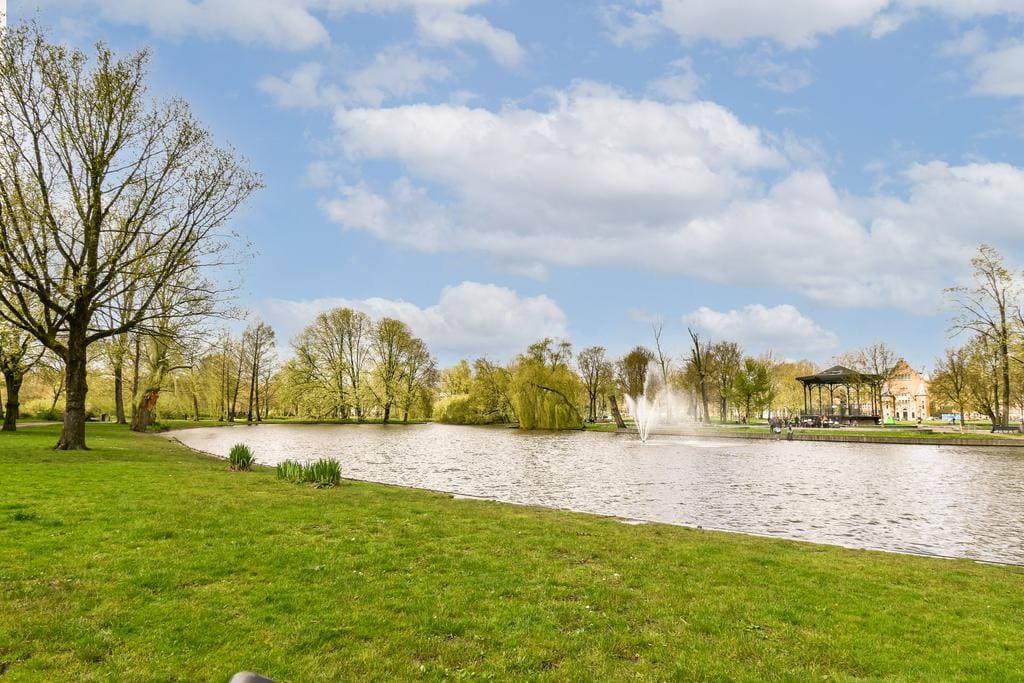 Photo 22 of Linnaeusstraat 40-3