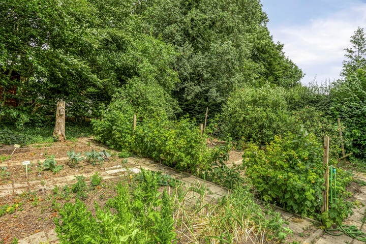 Photo 45 of Hoogbeek 36