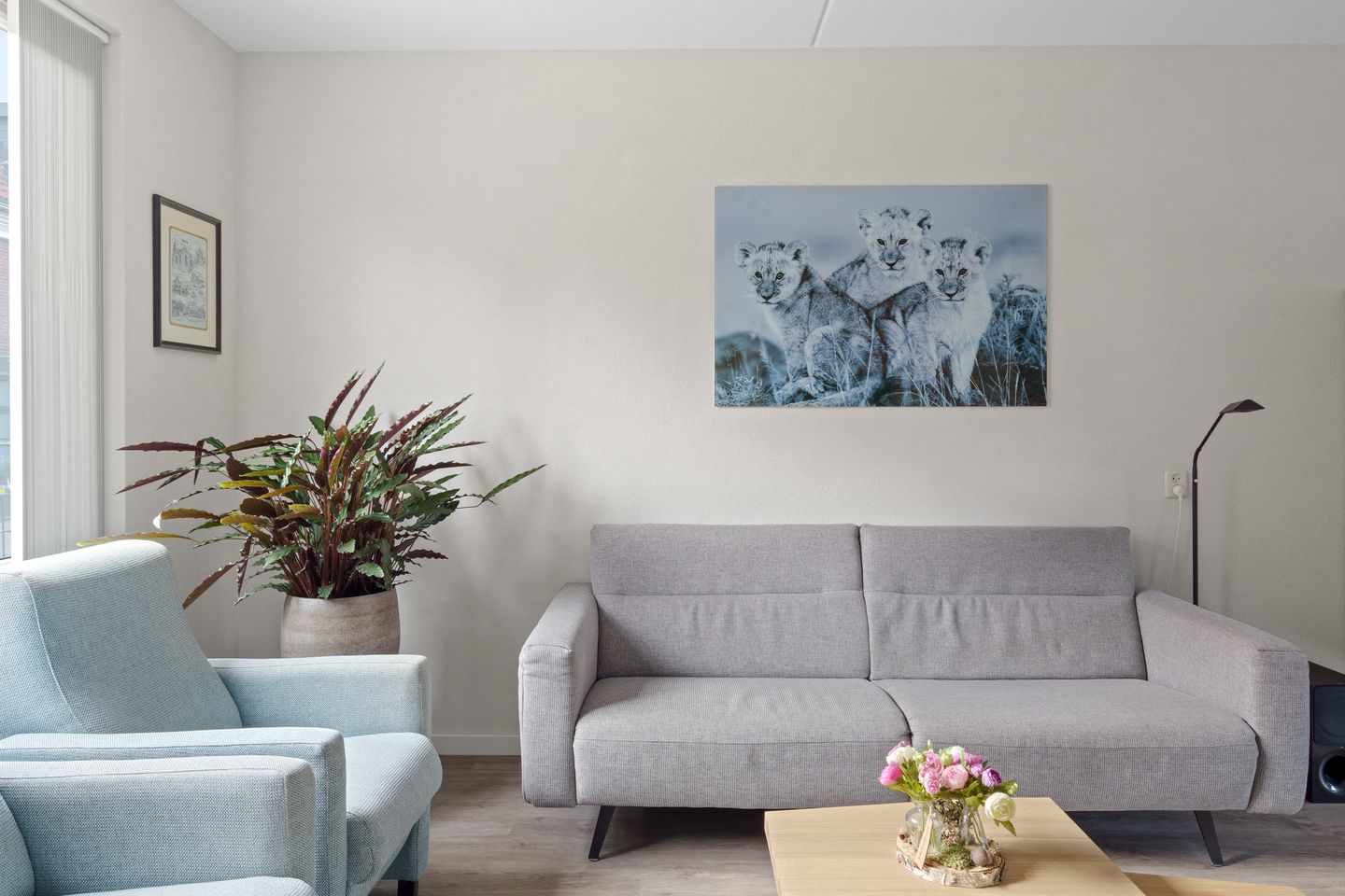 Foto 14 van Zadelmaker 18