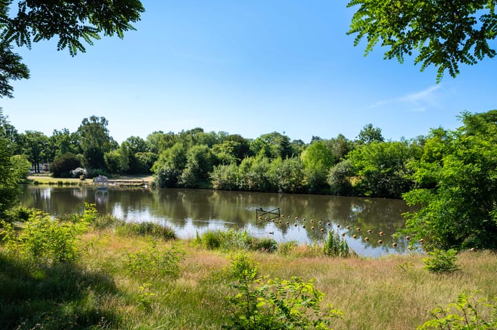 Foto 27 van Ruys de Beerenbrouckstraat 25