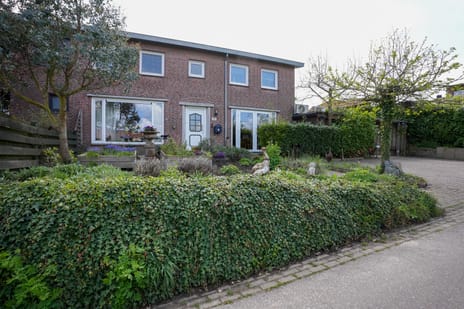 undefined main image