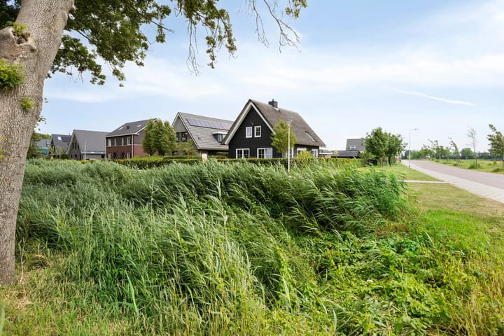 Foto 1 van Otterpad 1