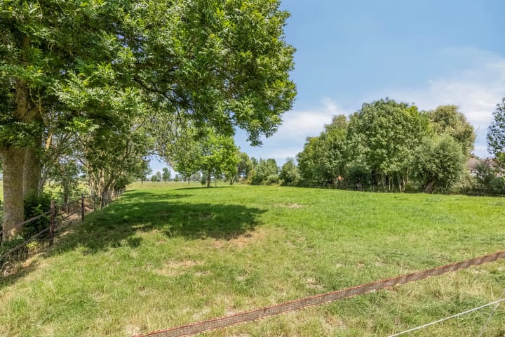 Foto 83 van Hoogsestraat 1