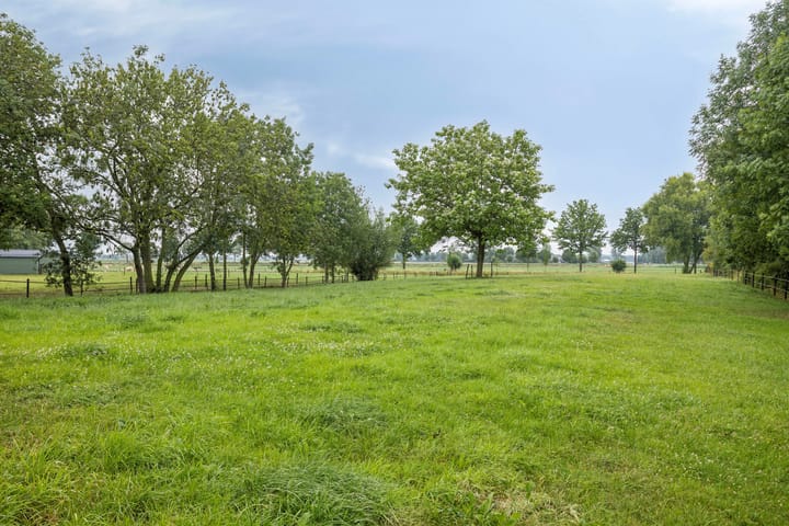 Foto 97 van Hoogsestraat 1