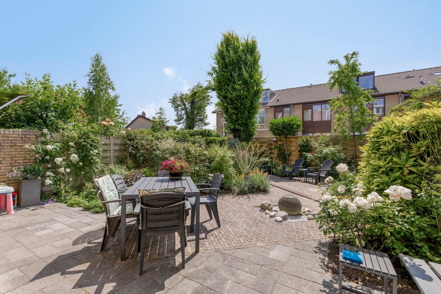 Photo 25 of Klaproos 22