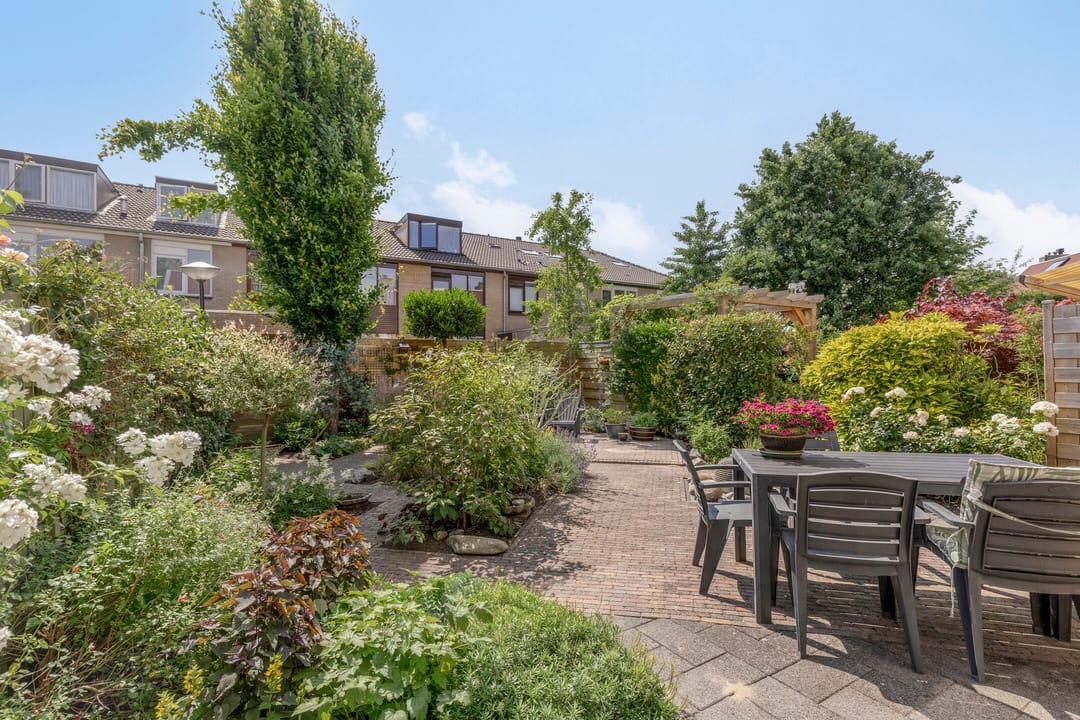 Photo 26 of Klaproos 22