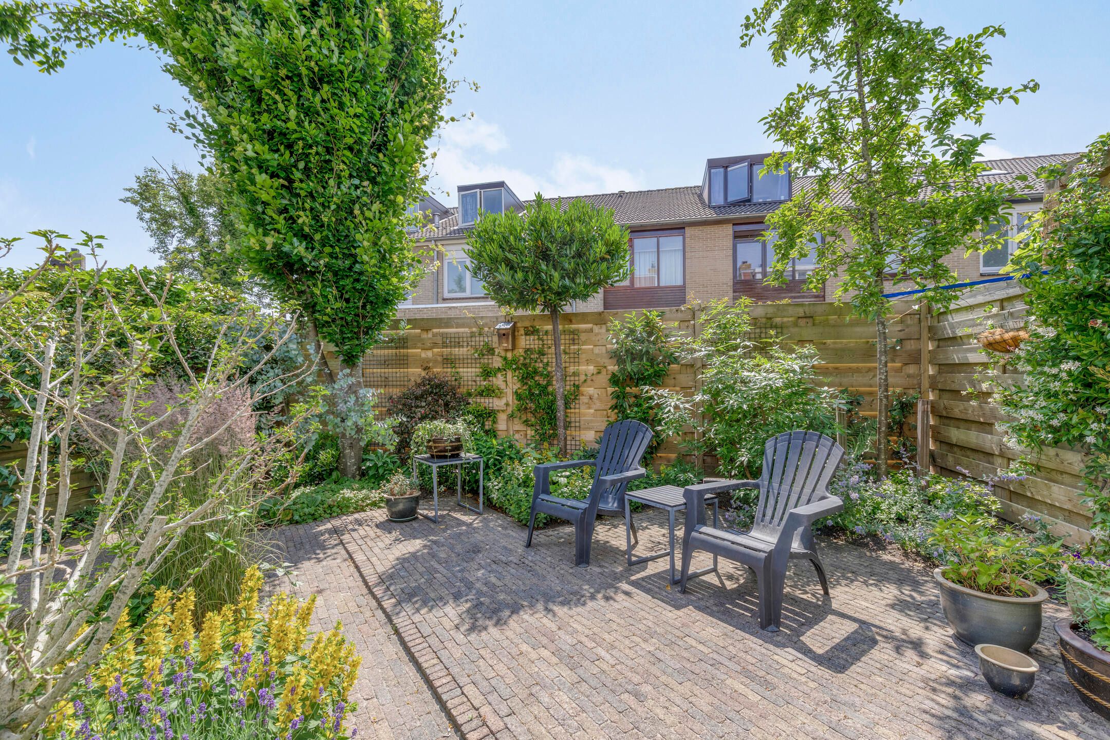 Photo 27 of Klaproos 22