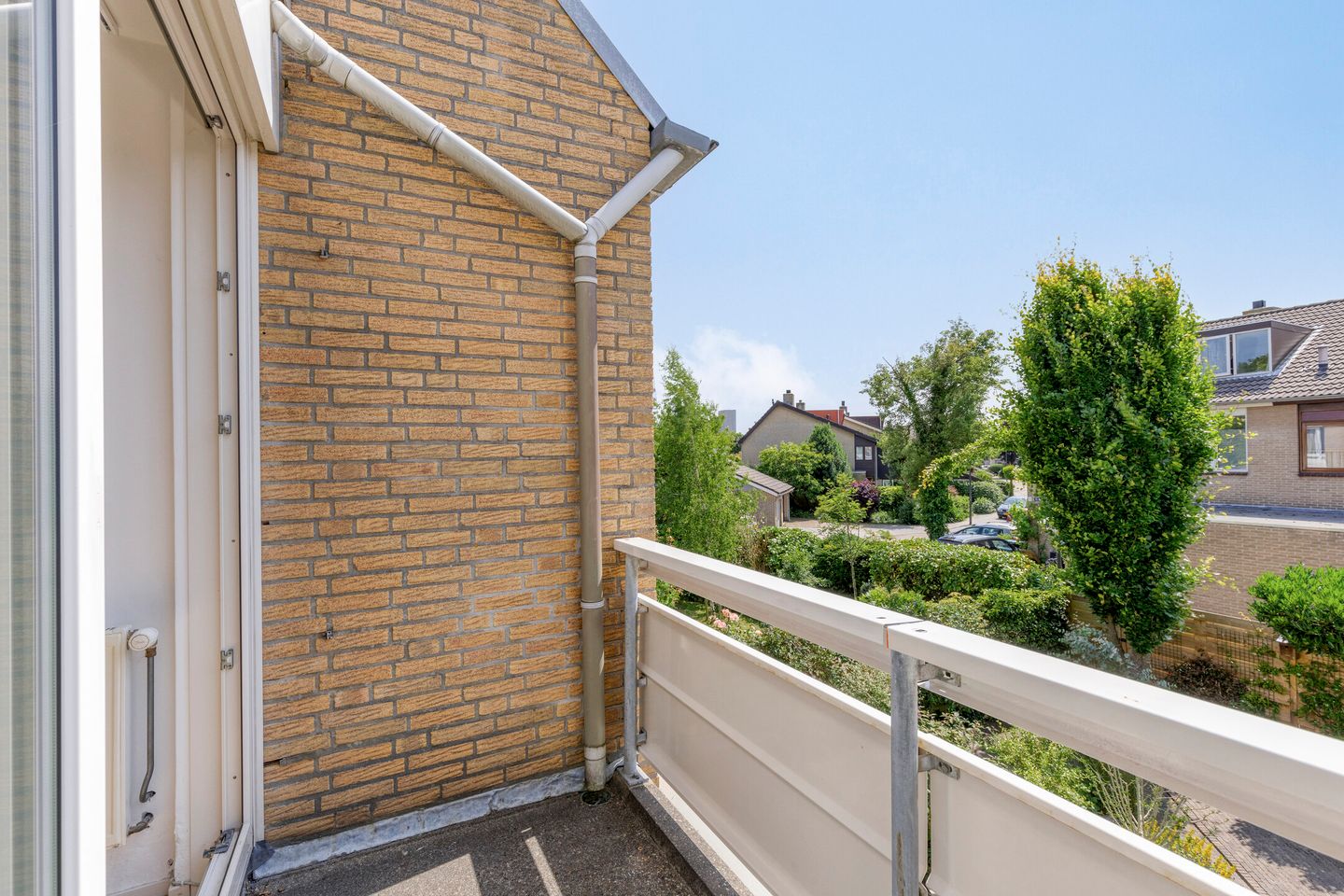 Photo 50 of Klaproos 22