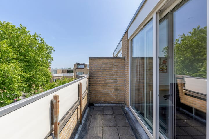 Photo 59 of Klaproos 22