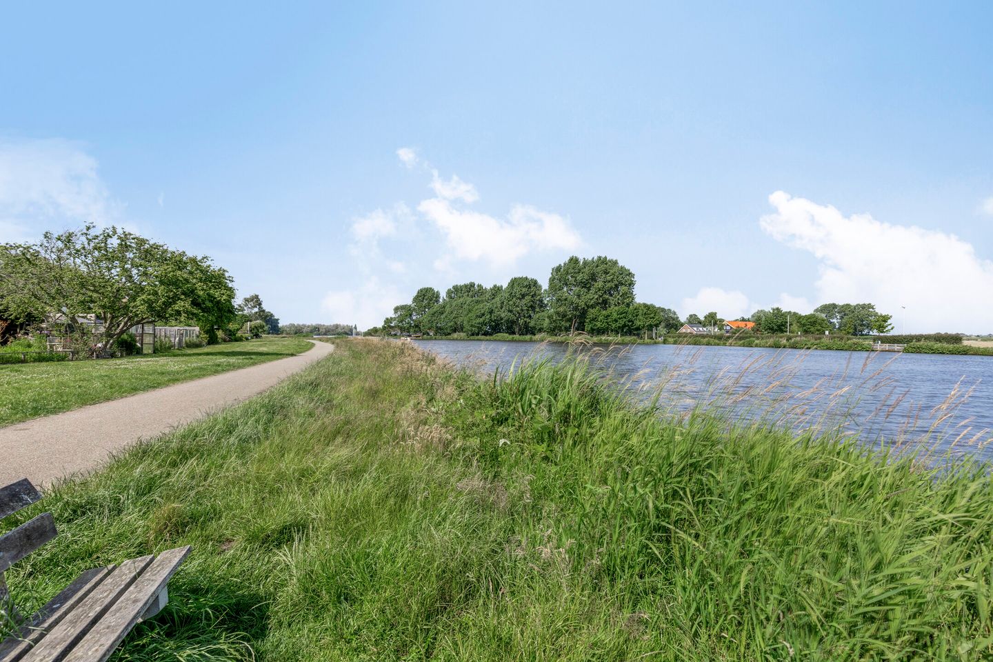 Photo 65 of Klaproos 22