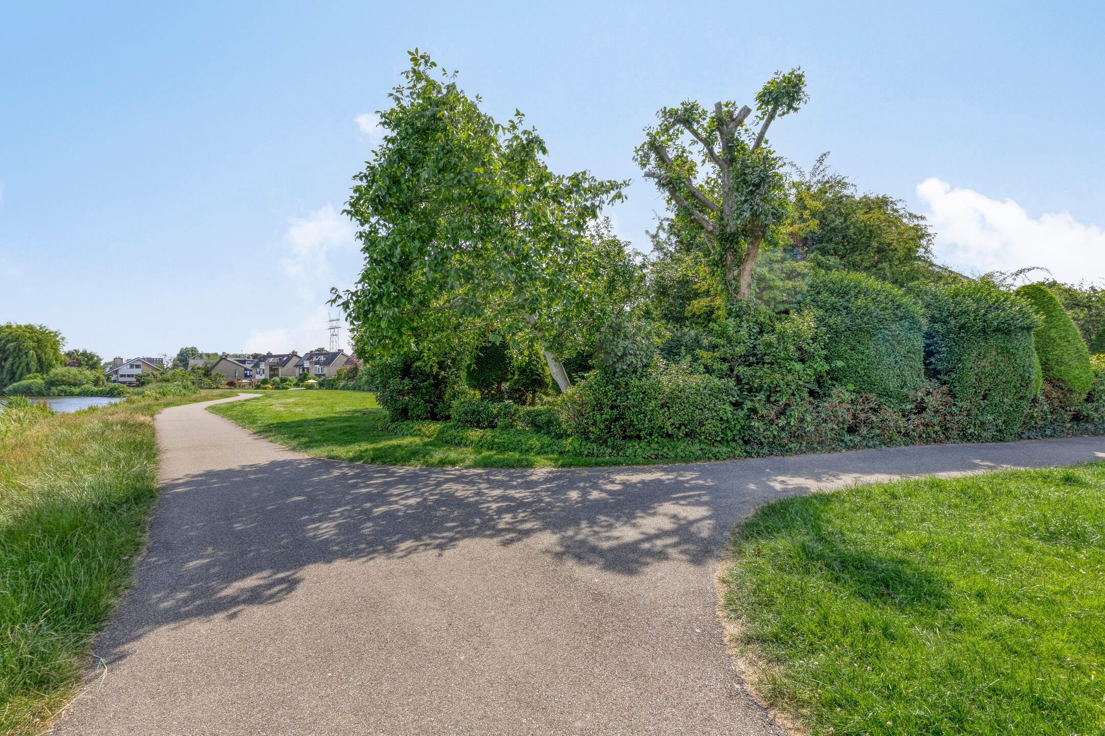 Photo 66 of Klaproos 22