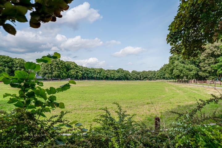 Foto 3 van Plagweg 47