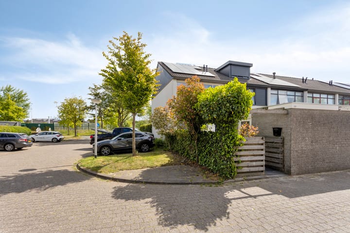 Foto 8 van Raaigras 251