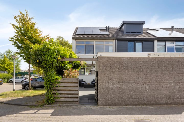 Foto 7 van Raaigras 251