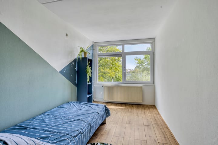 Foto 15 van Raaigras 251