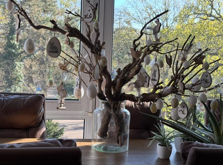 Foto 13 van Ruys de Perezlaan 50