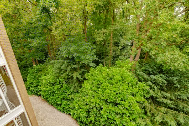 Foto 30 van Ruys de Perezlaan 50