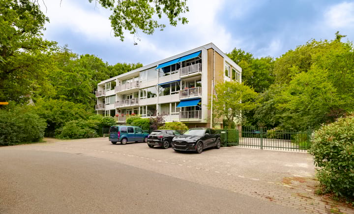 Foto 36 van Ruys de Perezlaan 50