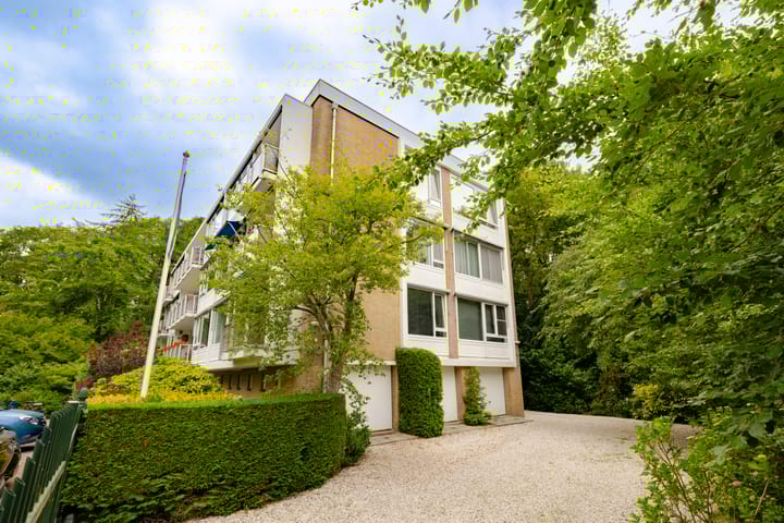 Foto 37 van Ruys de Perezlaan 50