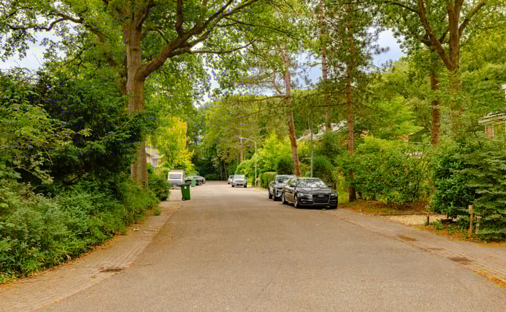 Foto 43 van Ruys de Perezlaan 50