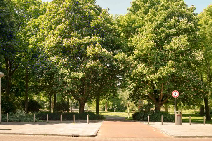 Foto 22 van Orteliusstraat 178-2