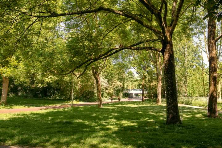 Foto 23 van Orteliusstraat 178-2