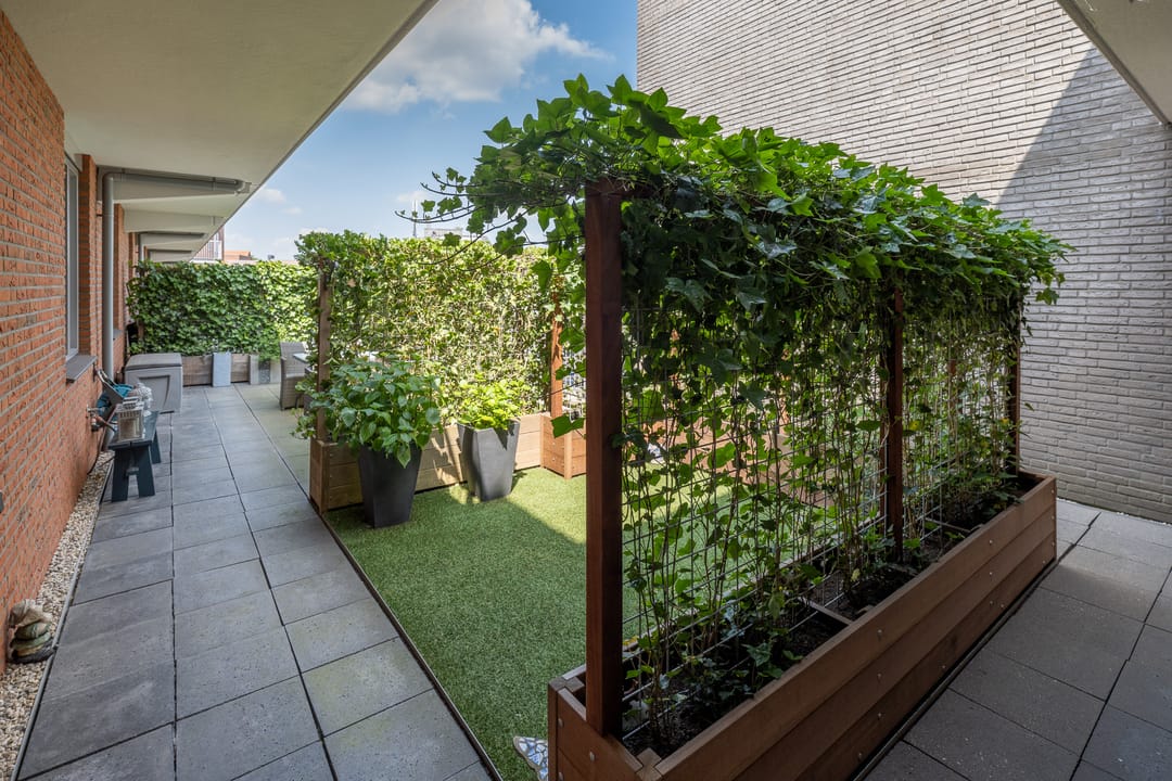 Photo 38 of Nieuwstraat 3