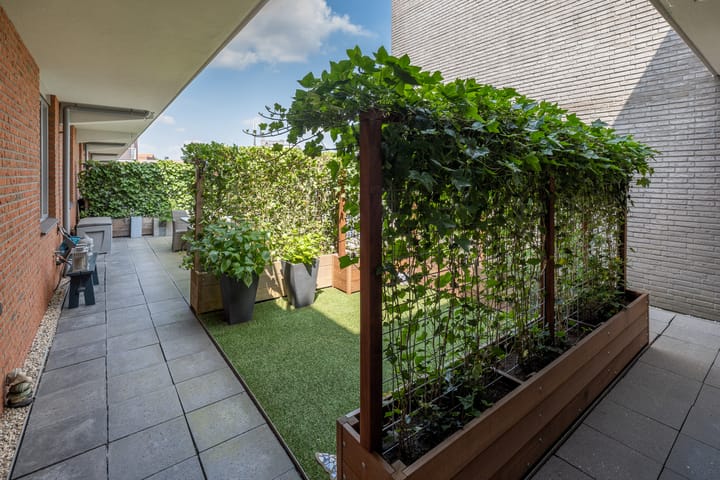 Foto 38 van Nieuwstraat 3