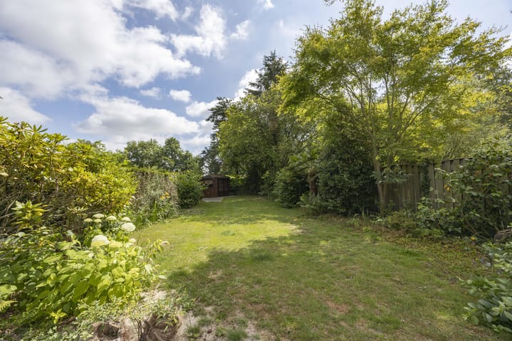 Foto 25 van Ecliptica 64