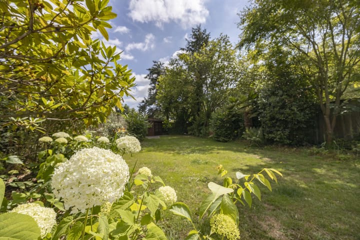 Foto 26 van Ecliptica 64