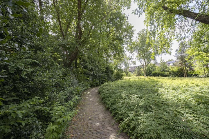 Foto 29 van Ecliptica 64