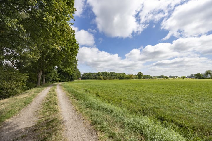 Foto 31 van Ecliptica 64