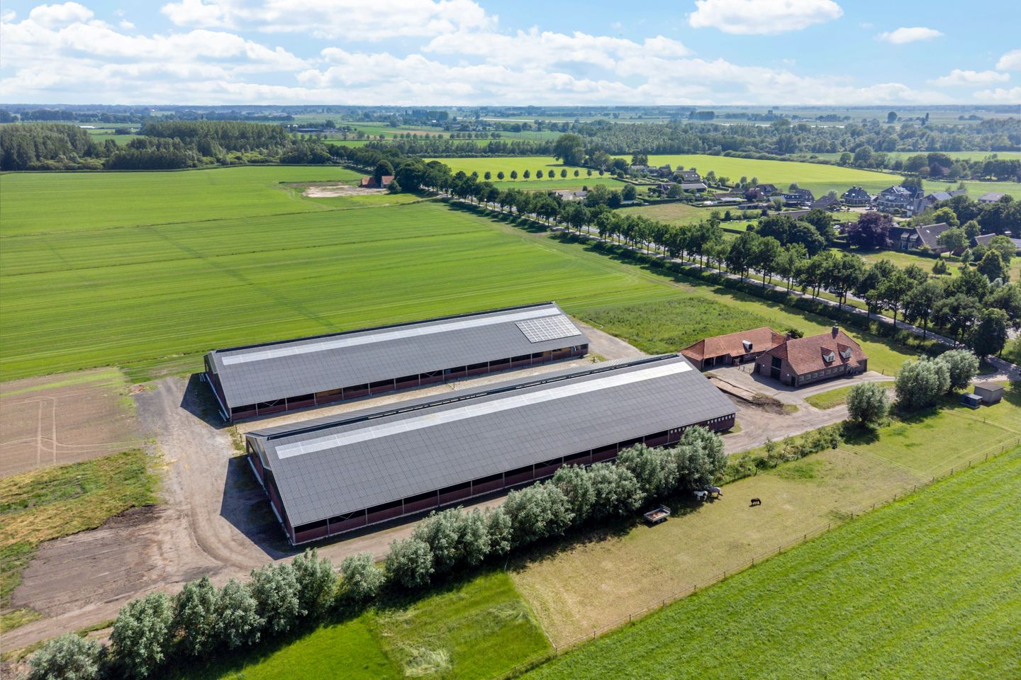 Bekijk foto 4 van Wijheseweg 53