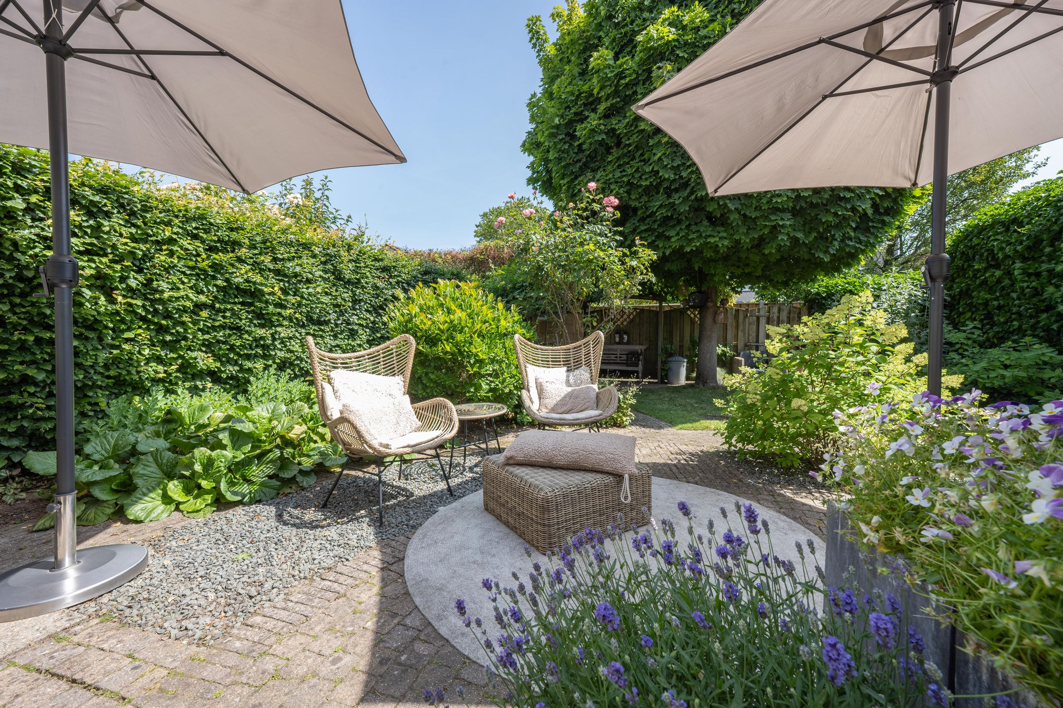 Foto 3 van Kaardebol 10