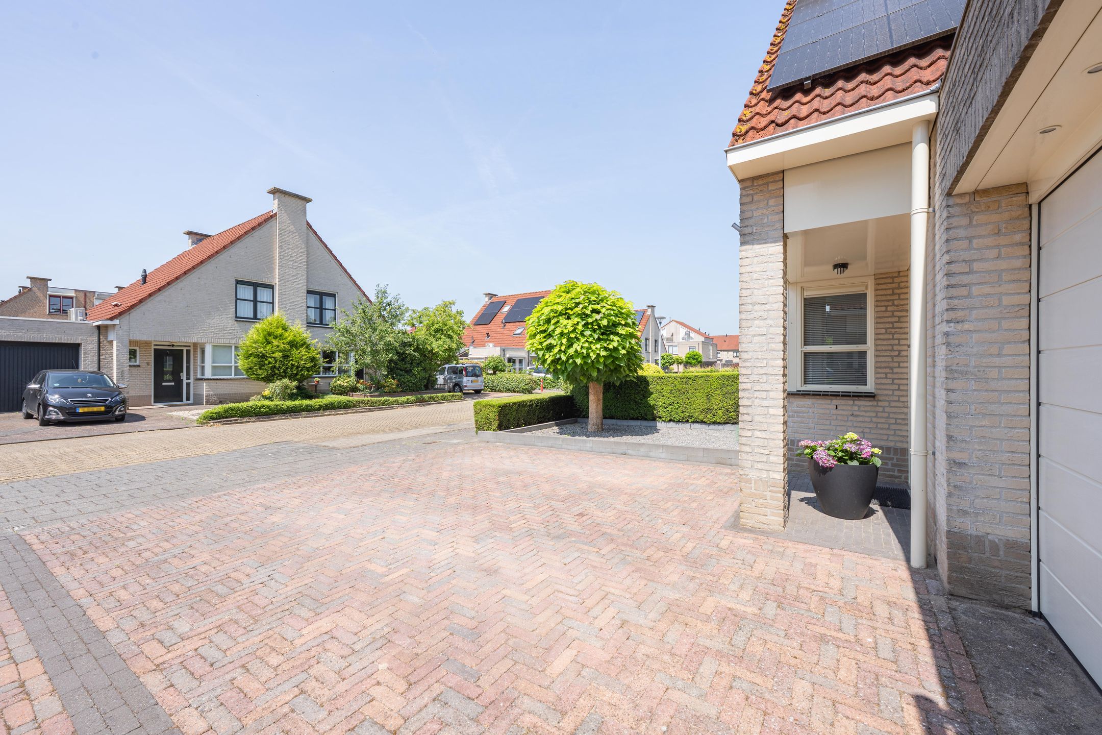 Foto 9 van Kaardebol 10