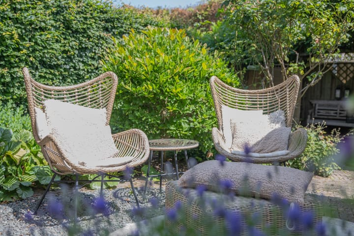 Foto 38 van Kaardebol 10