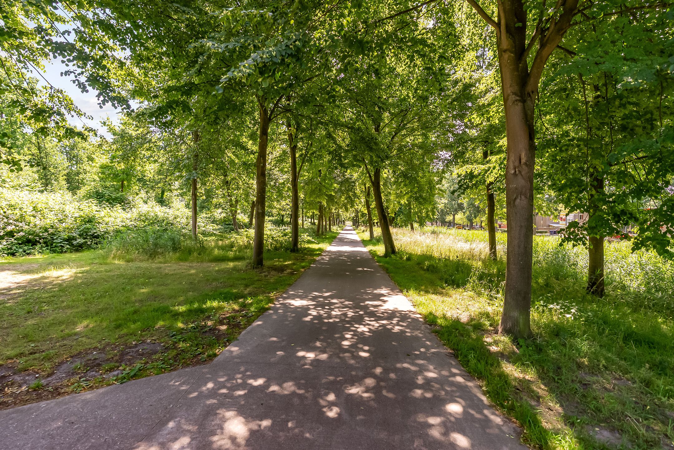 Foto 48 van Novemberstraat 50