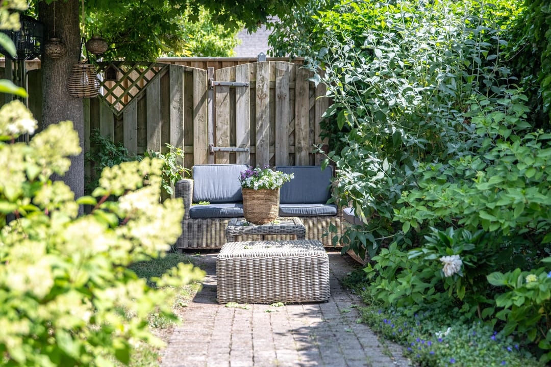 Foto 43 van Kaardebol 10