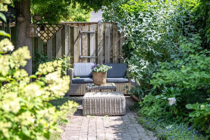 Foto 43 van Kaardebol 10