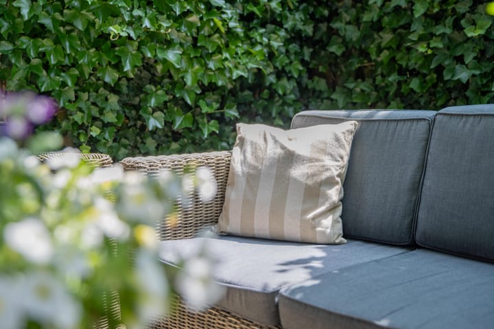 Foto 44 van Kaardebol 10