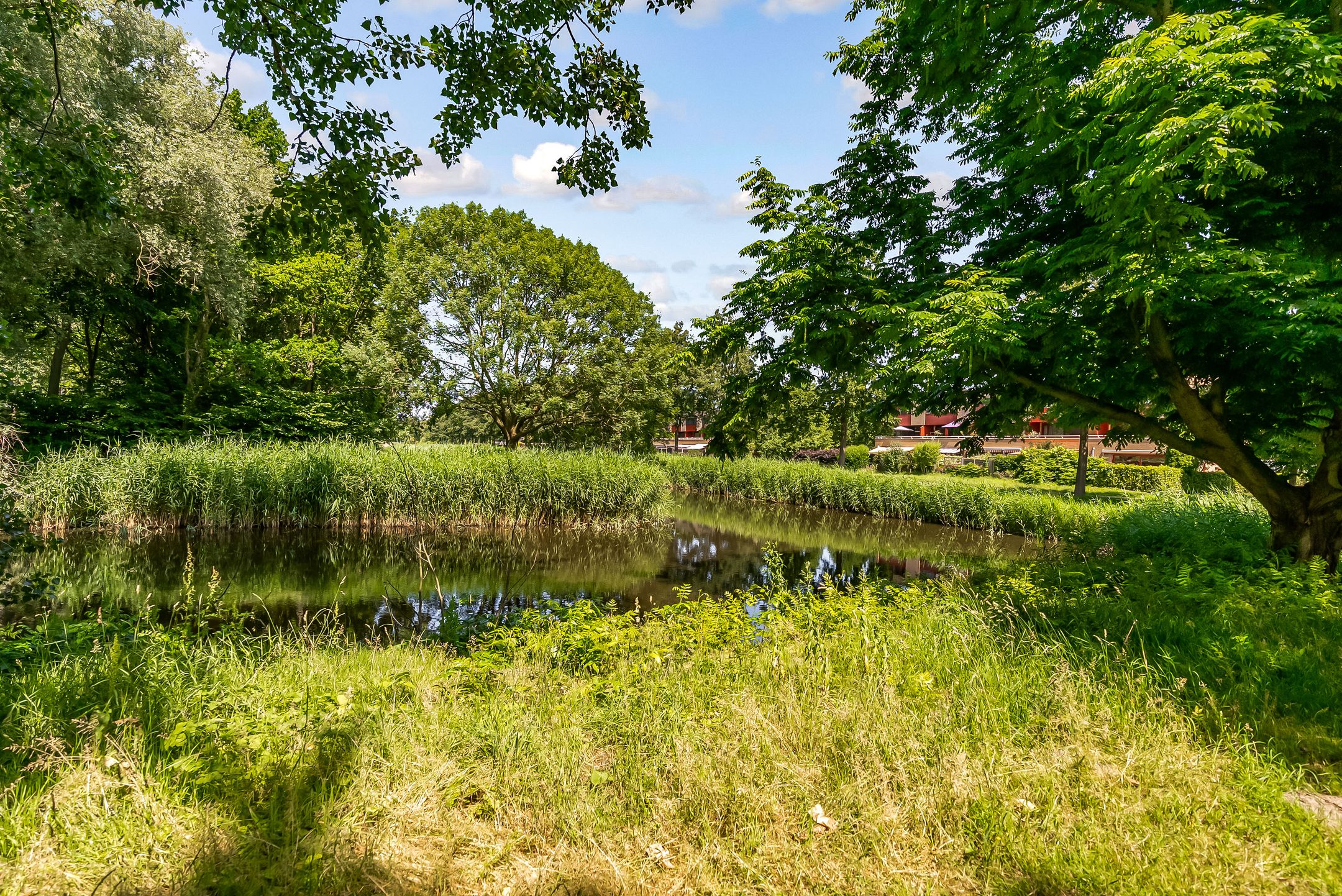 Foto 51 van Novemberstraat 50