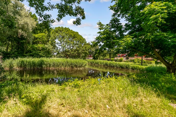 Foto 51 van Novemberstraat 50