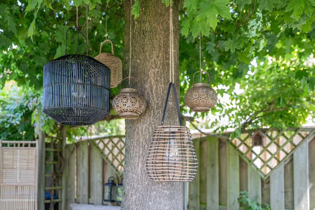 Foto 46 van Kaardebol 10