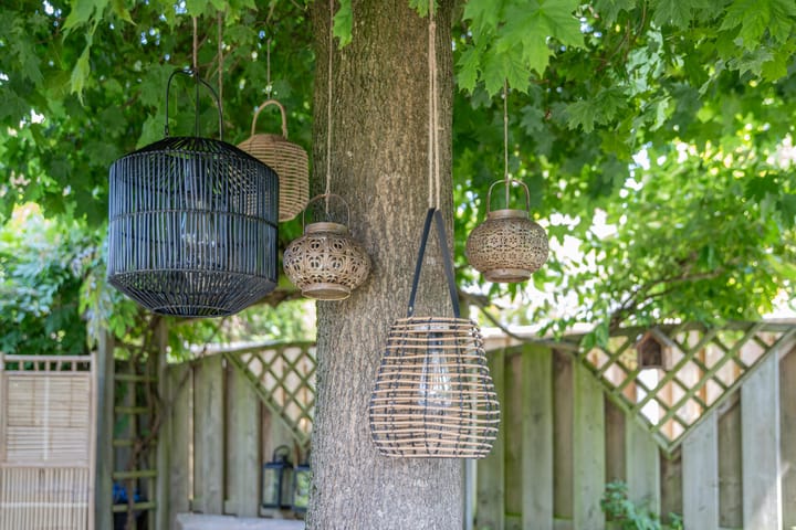 Foto 46 van Kaardebol 10