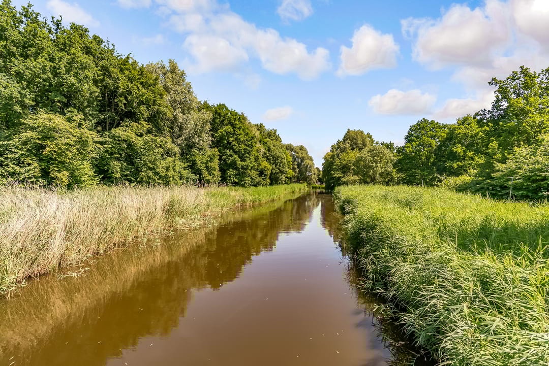 Foto 52 van Novemberstraat 50