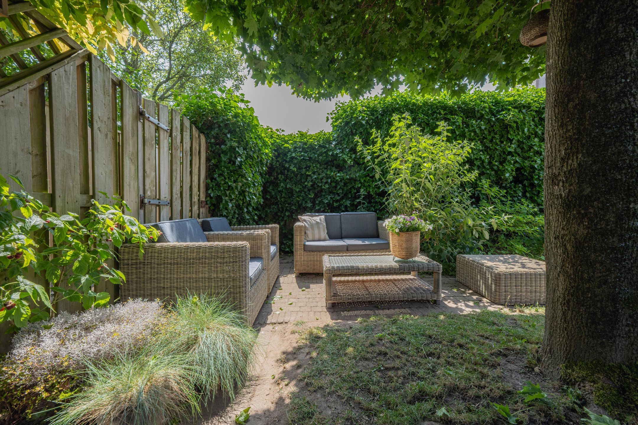 Foto 48 van Kaardebol 10