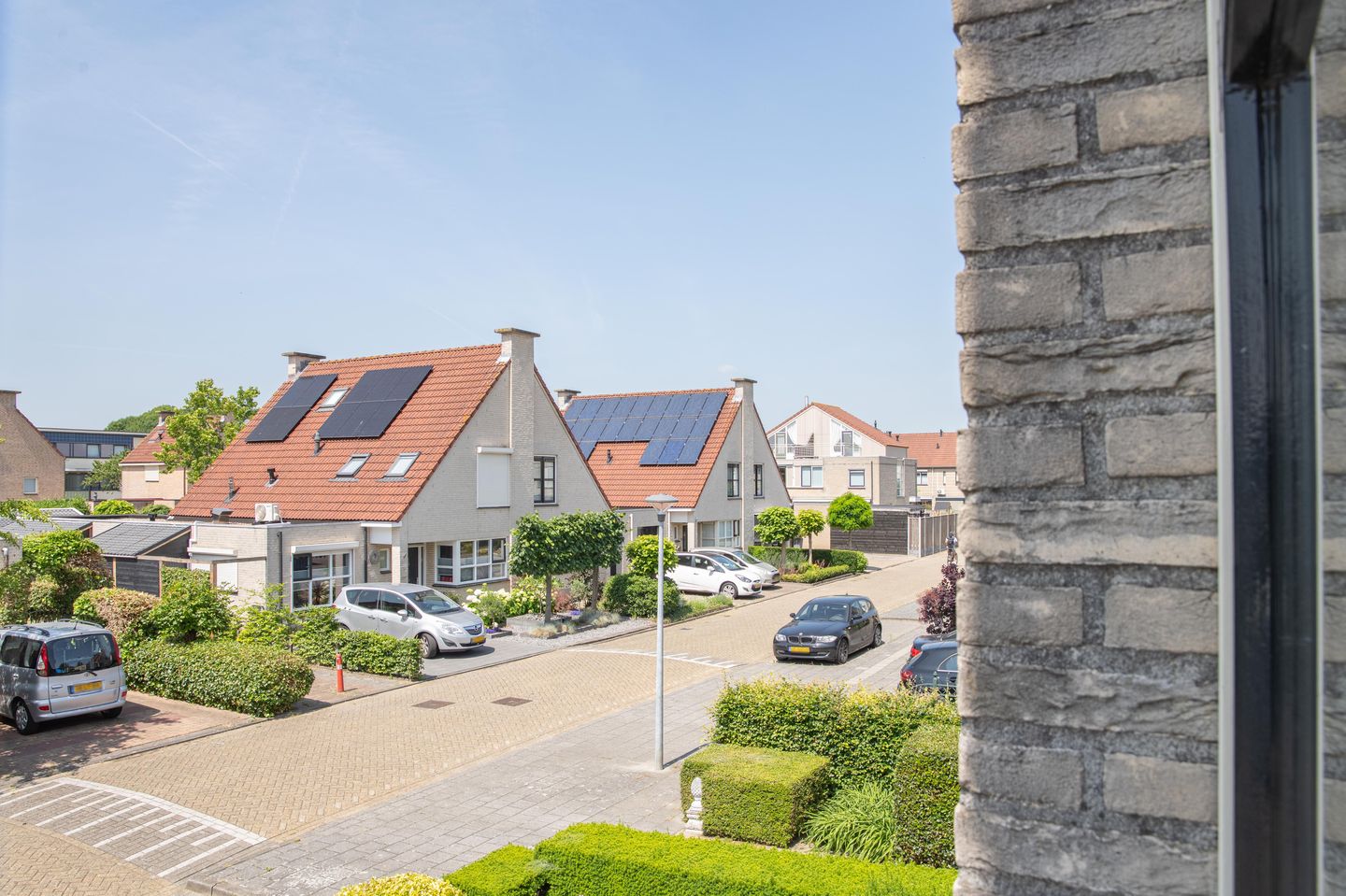 Foto 55 van Kaardebol 10